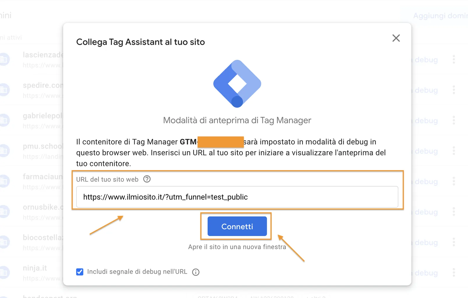 Collega il Tag Assistant al tuo sito su Google Tag Manager